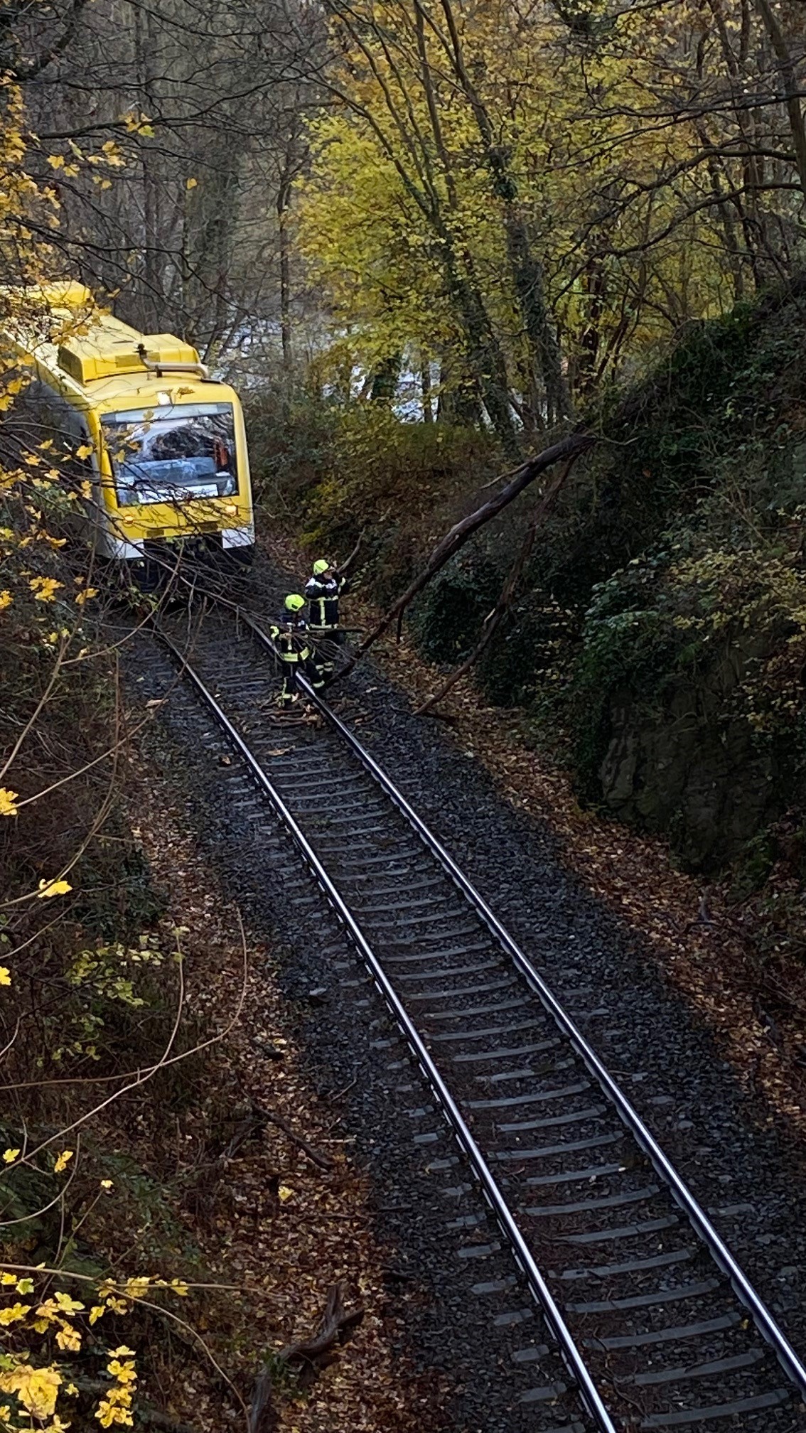 Einsatzfoto Baum auf Schiene