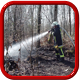 Waldbrand - Erkundung, Bodenfeuer, Flächenbrand